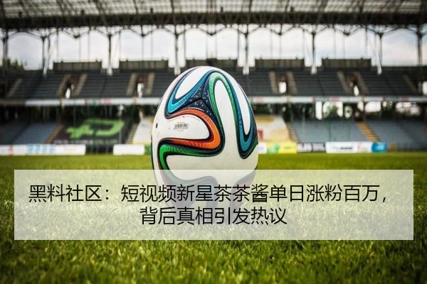 黑料社区：短视频新星茶茶酱单日涨粉百万，背后真相引发热议